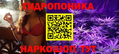 гашик Ликино-Дулёво